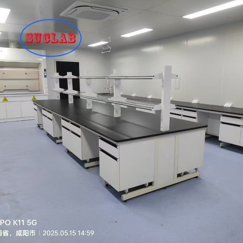 Custom Steel Wood  Lab Casework for  Mr.Tar Client  in People's Republic of Mongolia in 2024