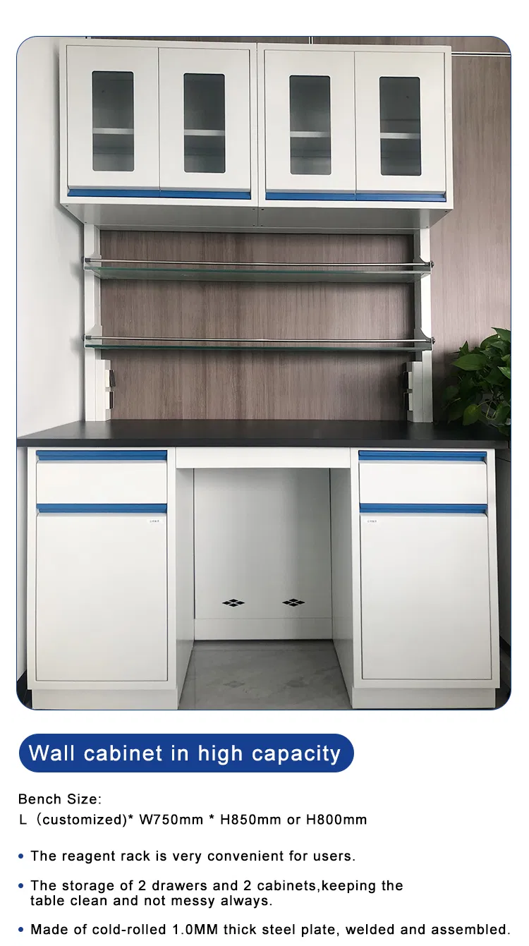 Phenolic Resin Worktop Laboratory Furnitures Cost  Nonwelded Linear Handle Ceramic Sink Lab Bench With DTC Rail 1