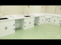 China PP Lab Workstation Suppliers / Low Price PP Lab Workstation / Newest PP Workstation