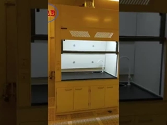 Lab Metal Steel Fume Hood 50mm Height Adjustable Feet Physiochemical Board Benchtops