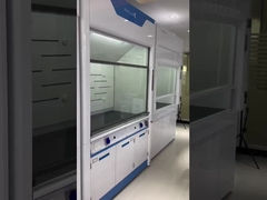 Practical Rustproof Fume Hood Cupboard , Anti Corrosion Laboratory Exhaust Hood