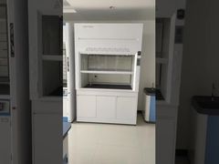 Ducted  Fume Cupboards, Ducted Fume Cupboards Manufacturers