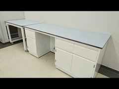 Customizable Chem Fumiture Lab Personalized for Your Lab Performance