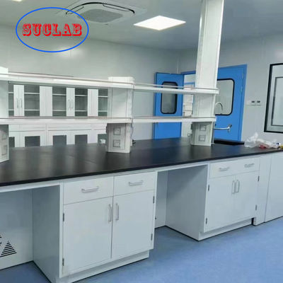 Professional Durable All Steel Material Good Acid And Alkali Resistance Lab Benches And Cabinets