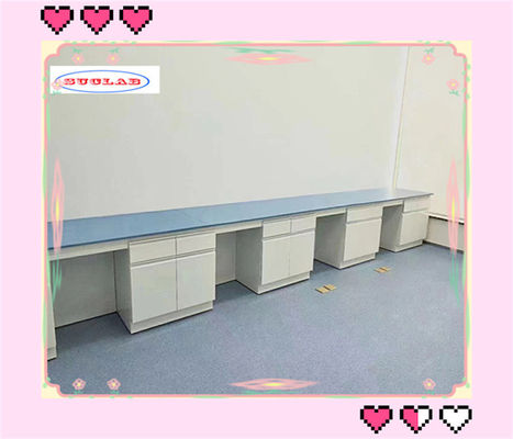 Solid Chemistry Lab Bench With Adjustable Glass Shelf Server Type 12mm Thick Glass Shelf
