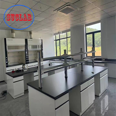 Chemistry Lab Bench Lab Furniture Manufacturers Reagent Racks Cold-Rolled Steel Lab Benches with Adjustable Glass Shelf