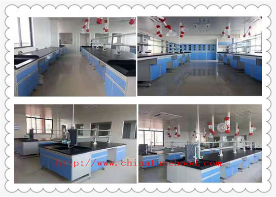 Good price Resistance To Chemical Wood Lab Furniture 3000 mm Length  Blue  Color online