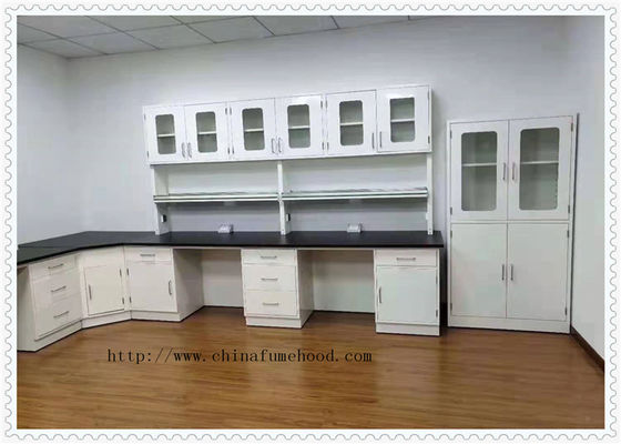 Good price Goverment Chemistry Lab Furniture With Reagent Rack Scratch Resistant online