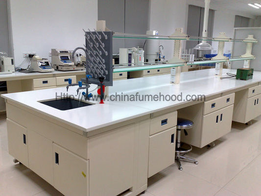 Good price Lab Instrument Table With Reagent Rack For Healthcare Industry online