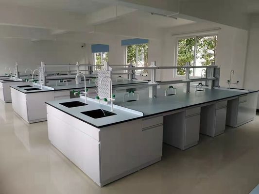 Good price Best Price Alkali Resistant Standard Size Chemistry Lab Furnitures  Lab Work Benches With Shelves online