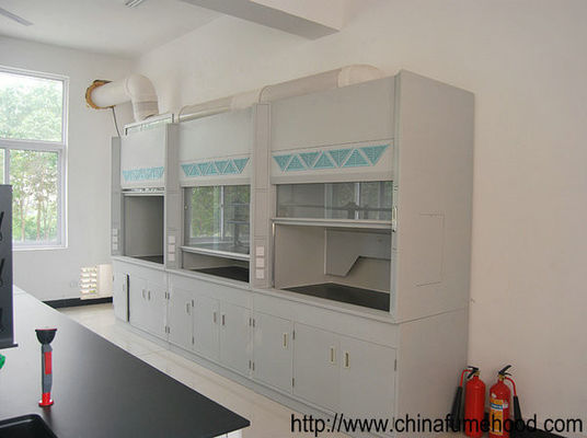 Good price Commercial Exhaust Laboratory Fume Hood Multifunctional Rustproof online