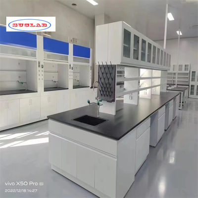 Good price Chemistry Lab Bench As Drawing Number of Holes and Hooks for Efficient Lab Management online