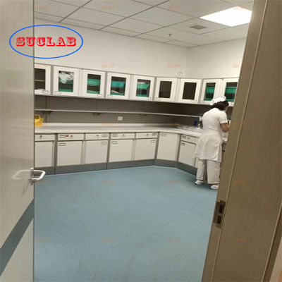 Good price Rectangular Chemistry Lab Bench Laboratory Benches and Cabinets for Hospital Laboratories with Base Cabinet online