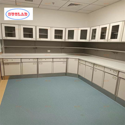 Good price 110 Degree Hinge and Stainless Steel Handle  Hospital Disposal Cabinet Materials for Hospital Furniture online