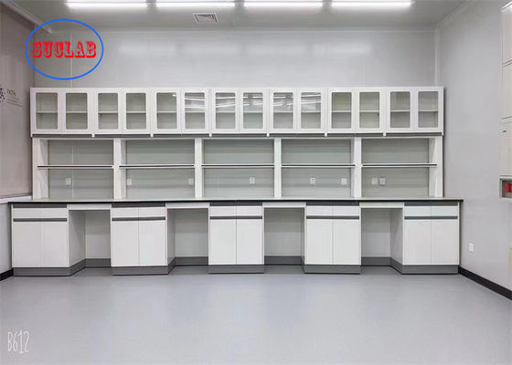 Good price Multi Functional Chemistry Lab Bench Lab Table China Manufacturers With Steel  Brass Body Faucet online