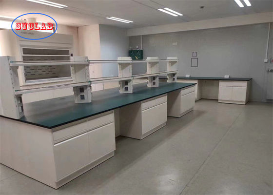 Good price Customizable Chemistry Lab Bench China Manufacturers With DTC 16-Inch Rail Epoxy Coated Faucet Aluminum Handle online