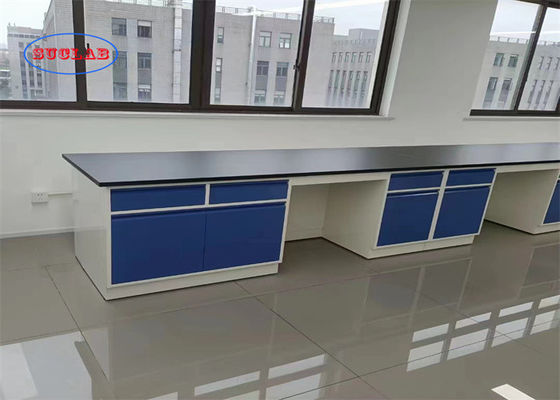 Good price Customizable Chemistry Lab Furniture Laboratory Workbench Hong Kong With Integrated Structure online