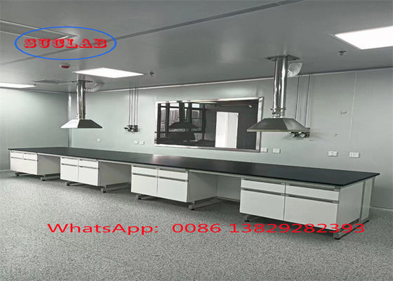 Good price Customizable Safety Chemistry Lab Workbench with Cabinets and Fire Resistant Structure online