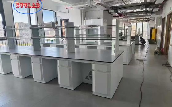 Good price Profesional Custom  Chemistry  Lab Bench Mayorista for  Research and Hospital Laboratory online