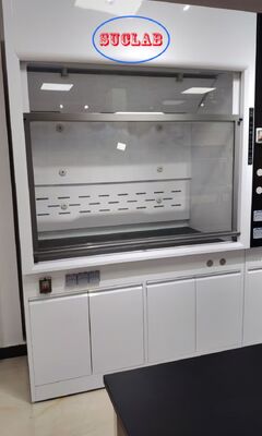 Good price Custom Laboratory Fume Hood Manufacturers With Strong Powerful Ventilation System Ideal for Laboratory Chemical Fume Extraction online