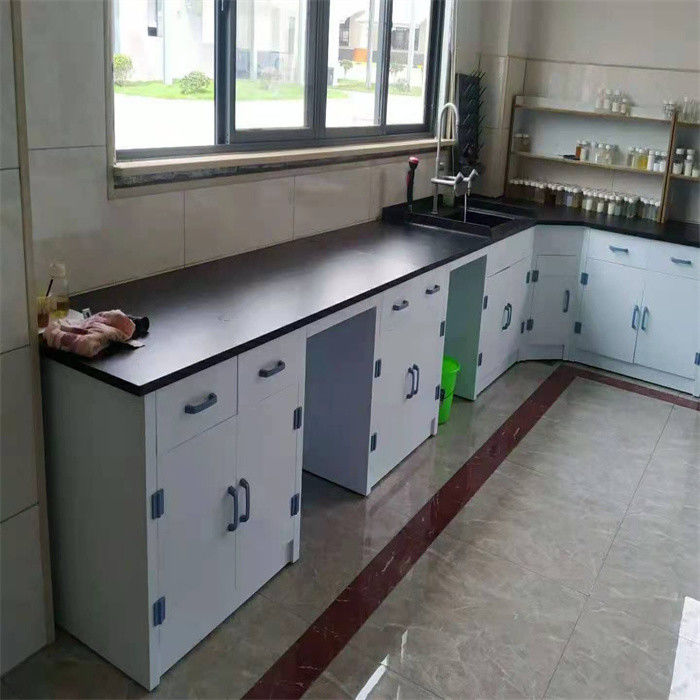 Modern Polished Lab Wall Benches for Laboratory Use