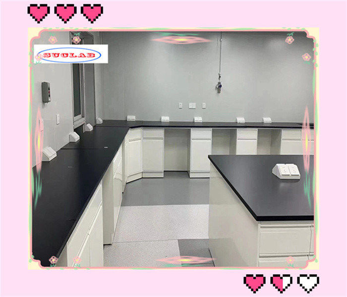 Free Standing Lab Benches Durable Reagent Racks With Adjustable Glass ...