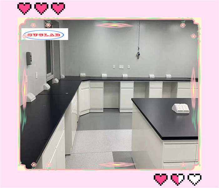 Free Standing Lab Benches Durable Reagent Racks With Adjustable Glass ...