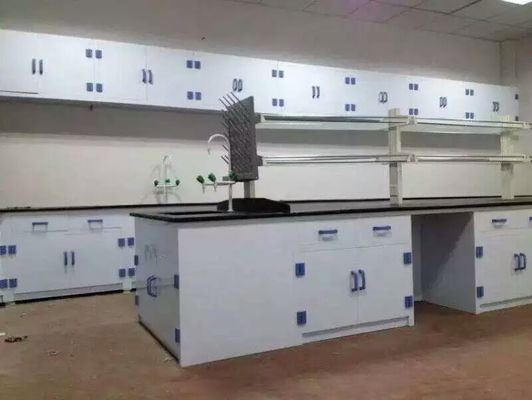 Good price Hot Sale Chemical Lab Workbench With PP Material For Good Price online