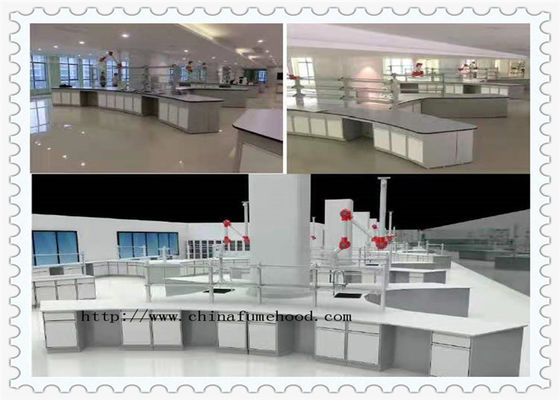 Good price Phenolic Worktop Chemistry Lab Furniture / Steel Laboratory Furniture online