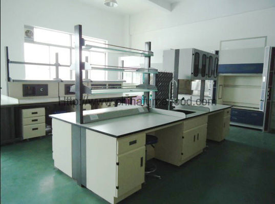 Good price Food Industry Laboratory Working Table Steel Furniture With Reagent Rack online