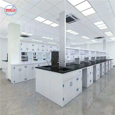Good price Durable Alkali Resistant Chemistry Laboratory Furniture,Laboratory work bench With Pp Sink And Faucet online