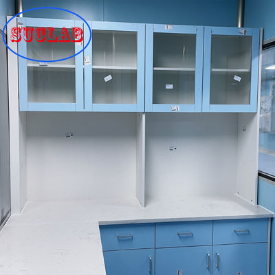 Good price Acid Proof Hospital Lab Furniture Wall Cabinet Waterproof Practical online