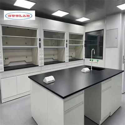 Good price Blue Chemistry Lab Bench with 2 Cupboards and 2 Holes for Laboratory Experiments online