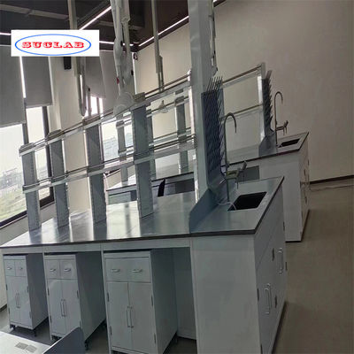 Good price Customizable Chemistry Lab Casework with As Drawing Number of Doors and Shelves online