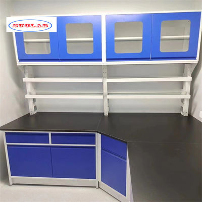 Good price Number of Shelves Hooks Cupboards for Chemistry Lab Bench As Drawing online