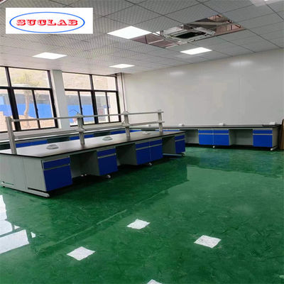 Good price As Drawing Number of Hooks and Shelves Chemistry Lab Workbench with 80 Kg Weight Capacity online