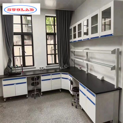 Good price Number of Hooks Chemistry Lab Workbench with Number of Compartments As Drawing Design online