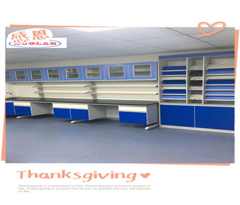 Good price Durable Lab Wall Benches With Customizable Options And Powder Coating online