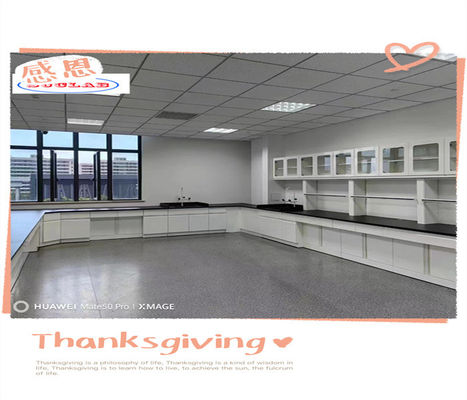 Good price Modular Chemistry Lab Furniture For Laboratories Export Plywood Package online