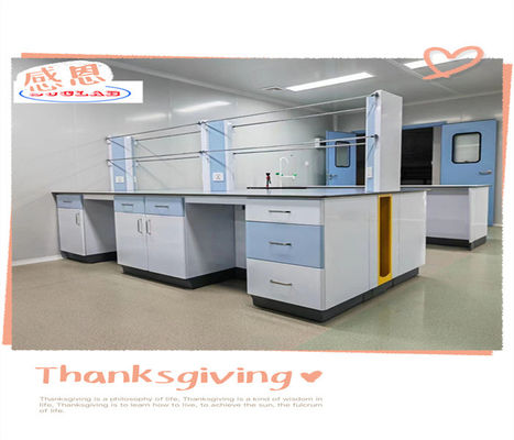 Good price Custmized Lab Island Bench Export Plywood Package For Lab Furnitures Modular Structure online