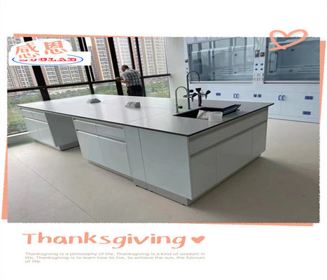 Good price Smooth Functionality Chemistry Lab Bench laboratory Workbenches- Polished Surface Multifunctional Design online