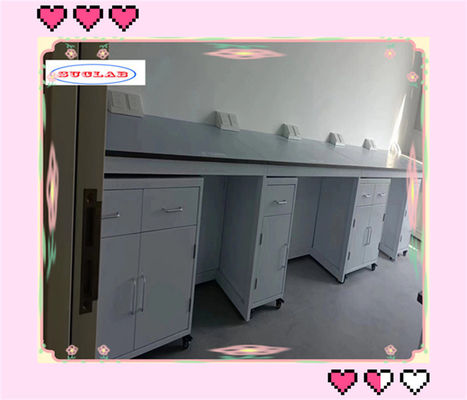 Good price Functional Chemistry Lab Bench Lab Workbenches with Stainless Steel Cabinet and Phenolic/Epoxy Resin Top online