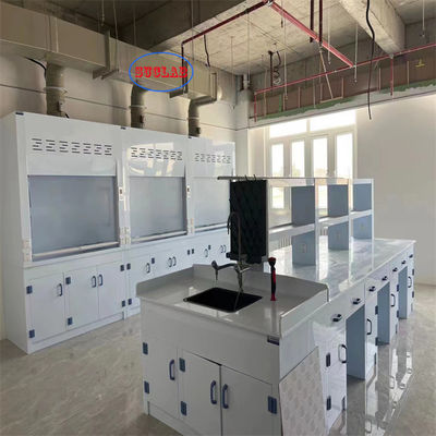 Good price Safe and Efficient Chemical Fume Hood Lab Fume Cupboard for 1 Year with Microcomputer Control System online
