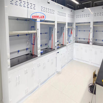 Good price Microcomputer Control System Chemical Fume Hood Laboratory Fuming Cupboard Wall Mounted Installation Type online