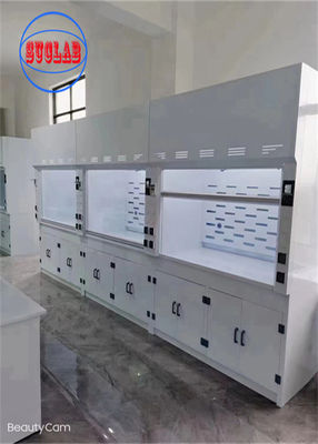 Good price 220V Chemical Fume Hood Lab Acid Fume Hood Wall Mounted with Horizontal Structure online