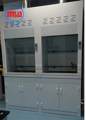 Good price 1 Year Horizontal Chemical Fume Hood With Scrubber for Efficient Ventilation online