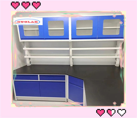 Good price Cold Rolled Steel Chemistry Lab Bench For Goverment Frame With Adjustable Glass Shelf online