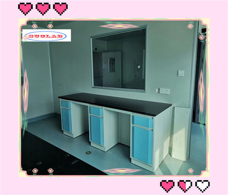 Good price Foldable Lab Caseworks Durable Reagent Racks With Adjustable Glass Shelf In 40*60*100mm Frame online