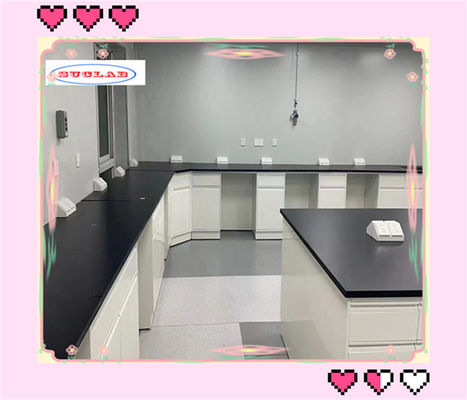 Good price Free Standing Lab Benches Durable Reagent Racks With Adjustable Glass Shelf For Scientific Research online