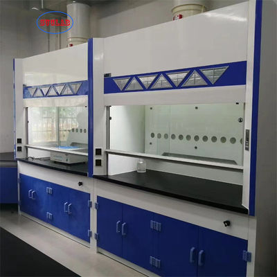 Good price Vertical Airflow Laboratory Fume Cupboard With Fume Scrubber online